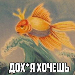 ����, ������, 33 ����