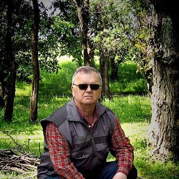 ��������, �������, 71 ���