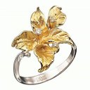 ���� �����, �����, 36 ��� - ��������� 11 ������� 2015 � ������ ���� ����������