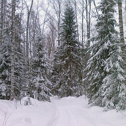 ���� �������, �������, 58 ��� - ��������� 26 ������ 2015