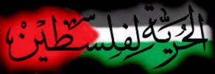 ���� Kamel, �����, 44 ���� - ��������� 27 ������ 2015 � ������ ���� ����������
