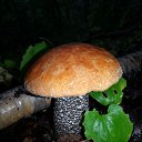 ���� �����, �������������-����������, 55 ��� - ��������� 23 ������� 2014 � ������ ������ ��������