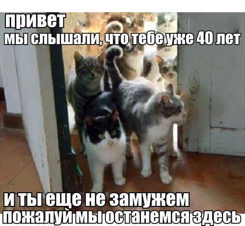       ,  ,      - ! - ...