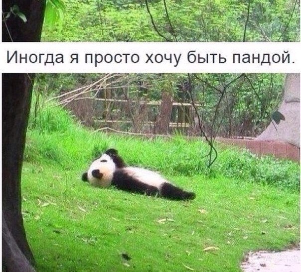    :-) - 31  2015  11:21