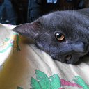 ���� ������, ������ - ��������� 6 ����� 2015 � ������ ���� ������!!!�