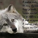 ���� �������, �������� - ��������� 1 ������ 2015 � ������ ������