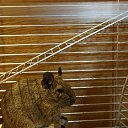 ���� ����, �����-���������, 43 ���� - ��������� 20 ������ 2015 � ������ ������ ��������