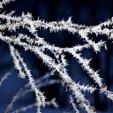 ���� Svann, ���������, 71 ��� - ��������� 19 ������ 2015 � ������ ������ �������!�