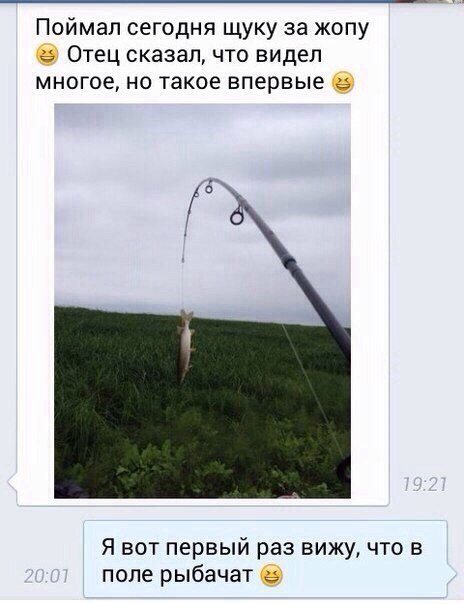    :-) - 6  2015  07:40