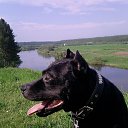 ���� �������, ���� - ��������� 31 ������� 2014 � ������ ������ ��������