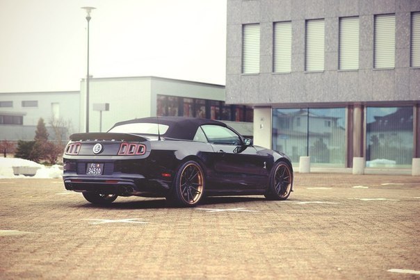 Shelby GT500 - 6