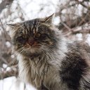 ���� �����, ������, 55 ��� - ��������� 19 ������� 2015 � ������ �������