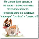 ���� ���������, �����-���������, 47 ��� - ��������� 25 ����� 2015 � ������ ������ ��������