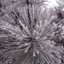 ���� �������, ������ - ��������� 14 ������� 2014 � ������ ������ ��������