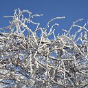 ��������� ���� �� �����)) �� ������� ��� �����������