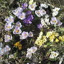 ���� �����, ������, 69 ��� - ��������� 15 ����� 2015 � ������ ���� ����������