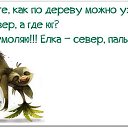 ���� ��������, ������ - ��������� 4 ����� 2015 � ������ ������ ��������