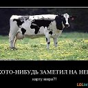 ���� �������, ��������, 44 ���� - ��������� 16 ����� 2015 � ������ ���� ����������