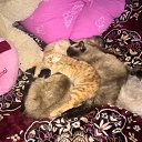 �����, ���� ����� �����, ��� ������� ��������.
��� ����� �� ����� �����
������������ �� ������))) �� ������� ���� ����������