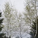 ���� ����, �������, 66 ��� - ��������� 22 ������ 2015 � ������ ������ 2015�