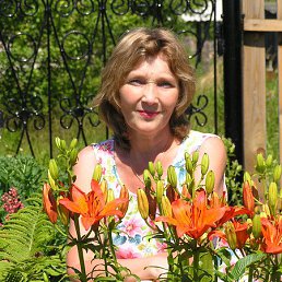 ����, �����, 66 ���