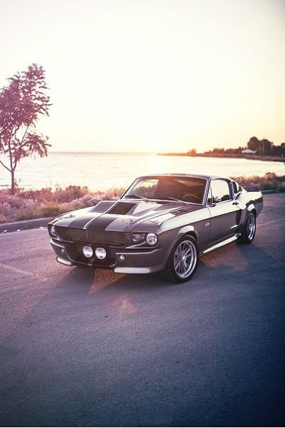 Shelby GT500 - 2