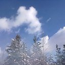 ���� ����� ������, ���������������, 43 ���� - ��������� 16 ������� 2014 � ������ ���� ����������