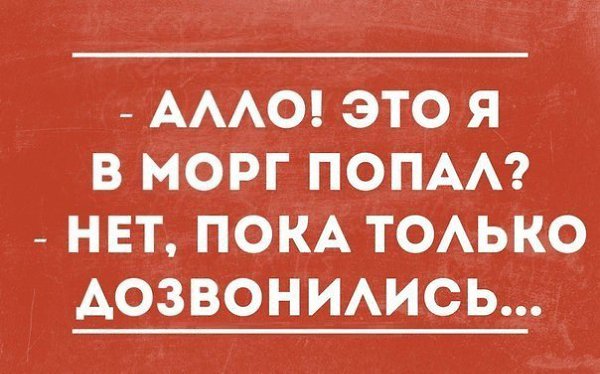   - 6  2015  19:03