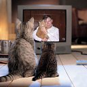 ��� �� ������!