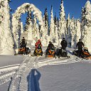 ���� ��������, �����������, 48 ��� - ��������� 8 ����� 2015 � ������ ������ ��������