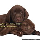 ���� ����������, ������ - ��������� 9 ������ 2015 � ������ ������ ��������