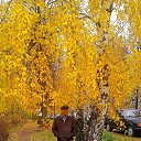 ���� ����, ����������-���������, 66 ��� - ��������� 11 ������ 2015 � ������ ���� ����������