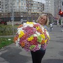 ���� ������, ����, 66 ��� - ��������� 1 ����� 2015 � ������ ���� ����������