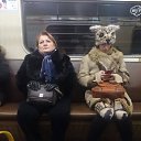 ���� ������� ���������, ������ - ��������� 7 ������� 2015 � ������ ������ ��������