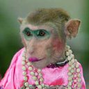 ���� �����, ���������, 46 ��� - ��������� 2 ������� 2015 � ������ ������ ��������