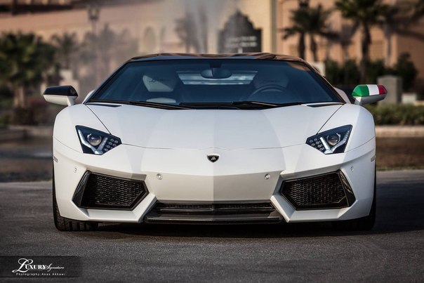 Lamborghini Aventador in Qatar. - 2