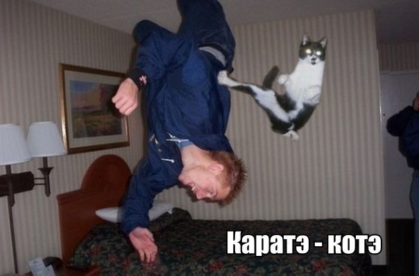 Art & Fun - 14  2015  02:40