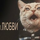 ���� ������, �������, 56 ��� - ��������� 17 ������ 2015 � ������ �������� ��������