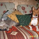 ���� ���������, ���� - ��������� 25 ������ 2015 � ������ ������� ���