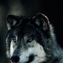 ���� ���������, �����������, 47 ��� - ��������� 12 ������� 2015