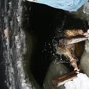 ���� �����, ��������� - ��������� 19 ������ 2015 � ������ ������ ��������