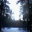 ���� �������, �������, 42 ���� - ��������� 21 ������ 2015 � ������ ���� ����������