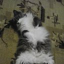 ���� ������, ������ - ��������� 16 ����� 2015 � ������ ���� ����������