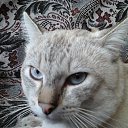 ����. �� ������� ���� ����������