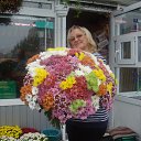 ���� ������, ����, 66 ��� - ��������� 17 ������� 2015 � ������ ���� ����������