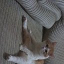 ���� ��������, ������������, 59 ��� - ��������� 1 ������ 2015 � ������ ������ ��������