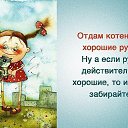 ���� �����, ������ - ��������� 12 ������ 2015 � ������ ������ ��������