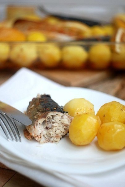     .  5 :5    ( 300  ...