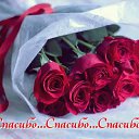 ���� ������, �������, 62 ���� - ��������� 31 ����� 2015 � ������ �������� ��������