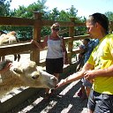 ���� ������, ���������, 40 ��� - ��������� 14 ������� 2014 � ������ ���� ����������